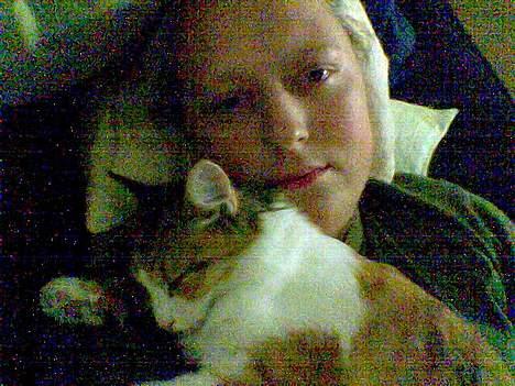 Blanding af racer Misse - Sådan skal der puttes! billede 7