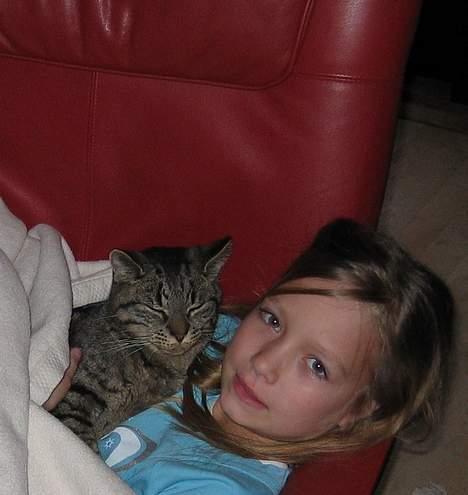 Huskat Rabi - Elsker at ligge og hygge billede 4