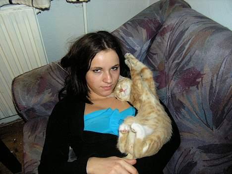 Blanding af racer Zeus billede 4