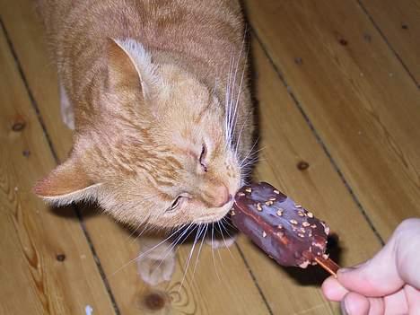 Huskat Mickey - Mmmm...is.. billede 5