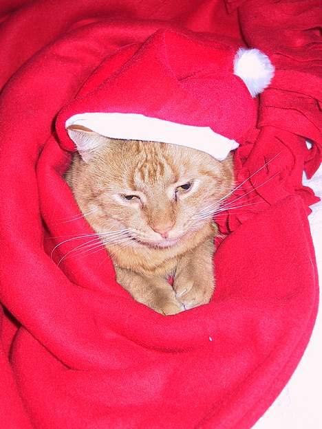 Huskat Mickey - tja.. glædelig jul igen.. billede 9