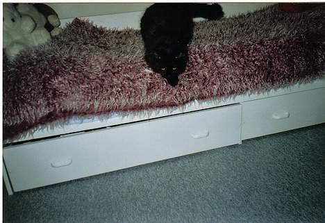 Huskat Luffe <3 *DØD* :´( - Luffe der går ;D <3<3<3<3 ELSKER DIG <3<3<3<3 billede 2