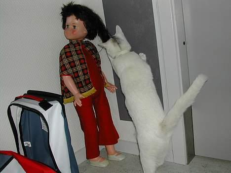 Huskat Yang - shh, ikke sig at jeg ødelægger dukkens hår. billede 7