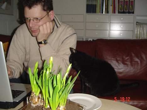 Blanding af racer Emma <3 *R.I.P.* - kom nu faar! nus mig lige :-) billede 16