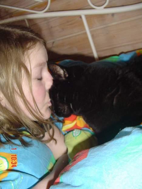 Blanding af racer Emma <3 *R.I.P.* - Se, hun kan kysse mig når jeg ber om det :P <3333 billede 18