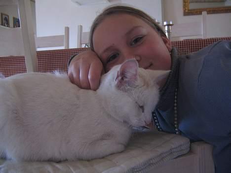 Blanding af racer Miv - øvv!!! der kom min ejer!!! :-) billede 3