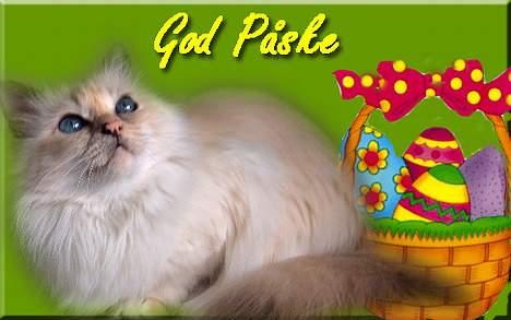 Hellig Birma Cisse - God påske til jer allesammen billede 11