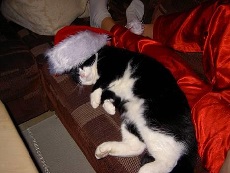 Blanding af racer Sigurd <3 - lidt julestemning :) Eller noget.. (Læg mærke til den sexede lille dobbelhage) billede 8