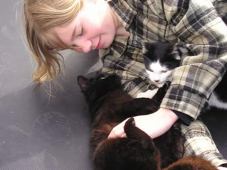 Blanding af racer Sortsnude<3 billede 11