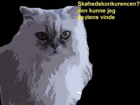 Blanding af racer Laban - lavet Af Svea N. billede 14