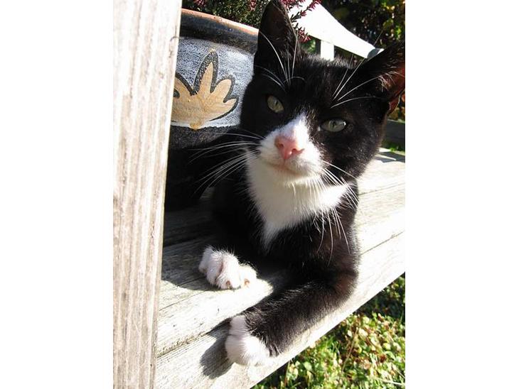 {{currentPhoto.altText}} billede {{currentPhoto.number}}