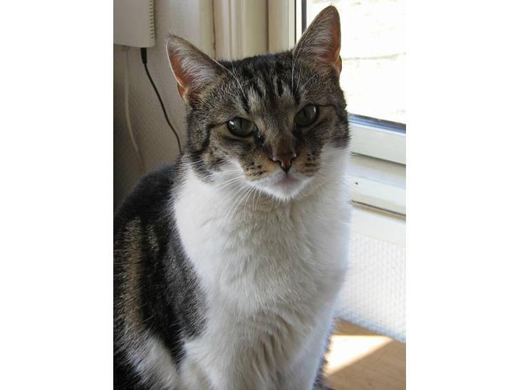 {{currentPhoto.altText}} billede {{currentPhoto.number}}