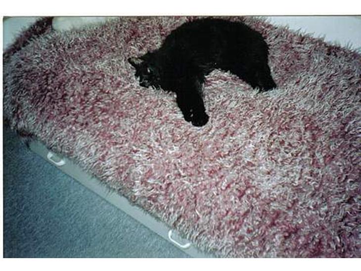 {{currentPhoto.altText}} billede {{currentPhoto.number}}