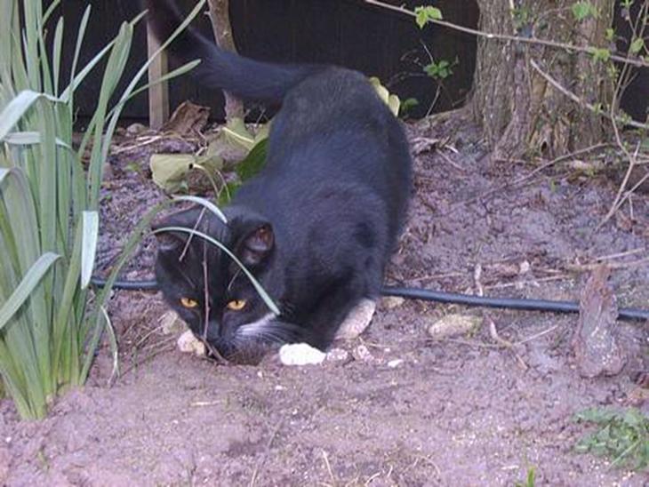 {{currentPhoto.altText}} billede {{currentPhoto.number}}