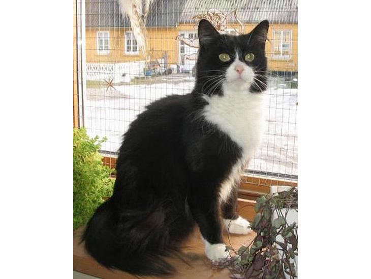 {{currentPhoto.altText}} billede {{currentPhoto.number}}