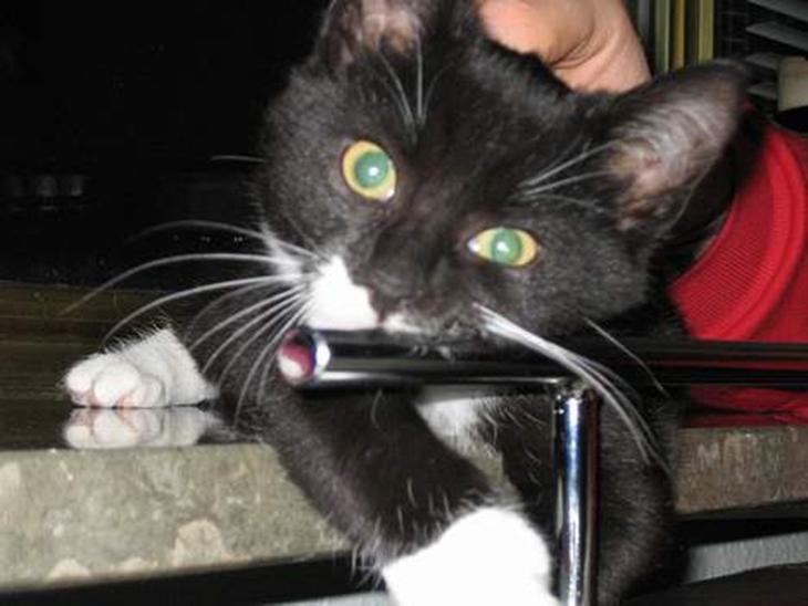 {{currentPhoto.altText}} billede {{currentPhoto.number}}