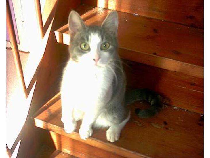 {{currentPhoto.altText}} billede {{currentPhoto.number}}