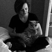 British Shorthair Smitty