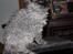 Selkirk Rex  Tzari Lay Down the Law - 15 uger
