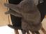 British Shorthair Guddi(Petrines Gurli)