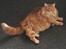 Maine Coon Rovdyret's Obelix kælenavn Peter