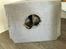 British Shorthair DK Petrines Klara. Til daglig Shandy