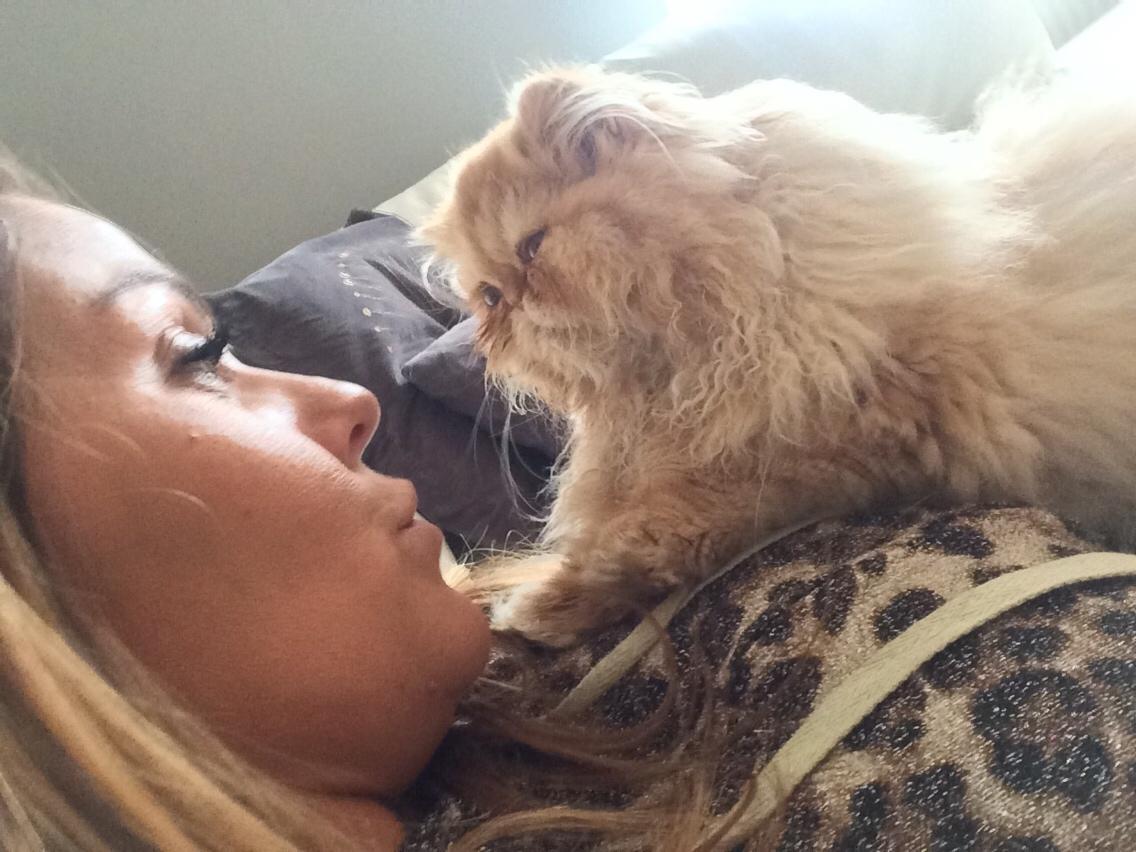 Perser Buddha No. 1 billede 13