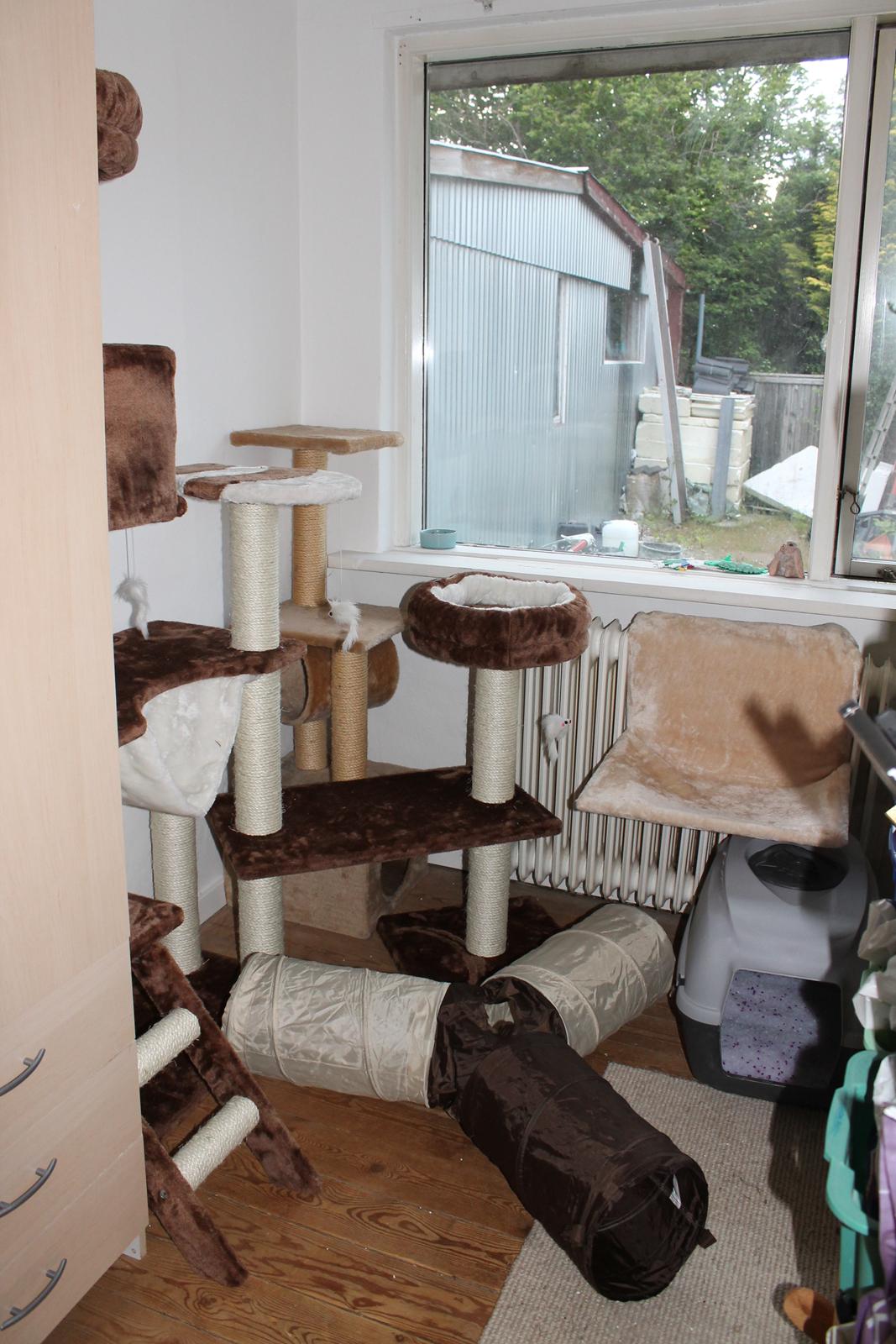 Blanding af racer Harley - Harleys hjørne billede 15