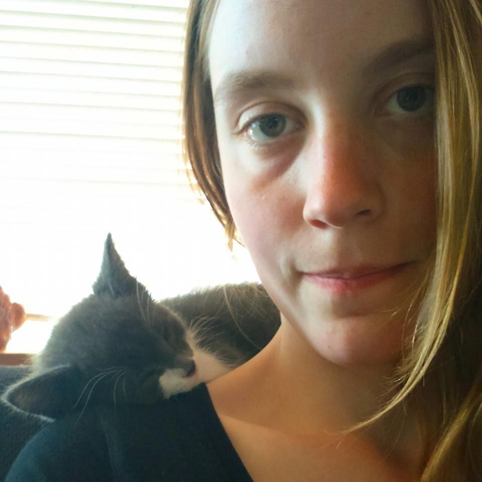 Blanding af racer Harley billede 18