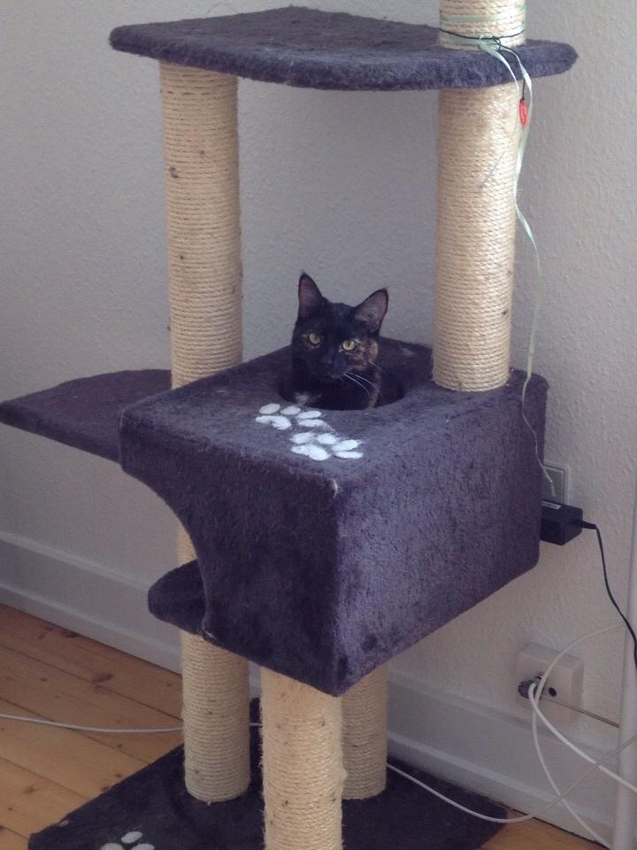 Huskat Saga billede 19