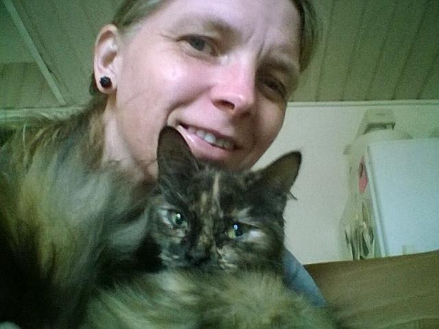 Maine Coon Kirby - Kirby og mit forhold udvikler sig bare hele tiden  billede 3