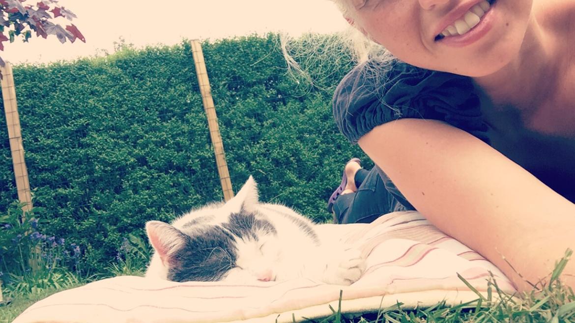 Huskat Musse billede 26