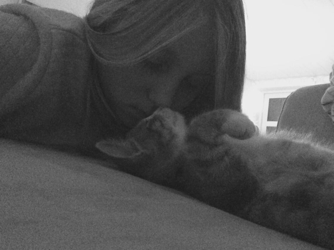 Blanding af racer Prins billede 5