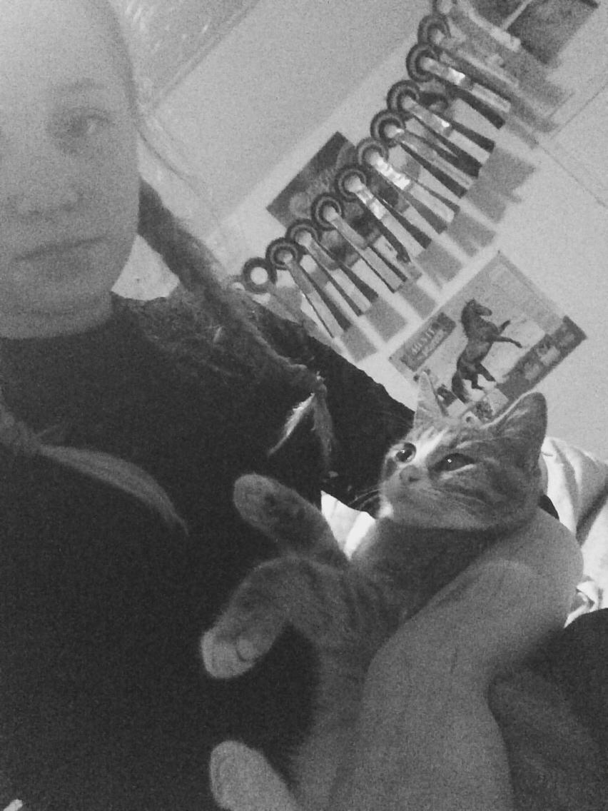 Blanding af racer Prins billede 18