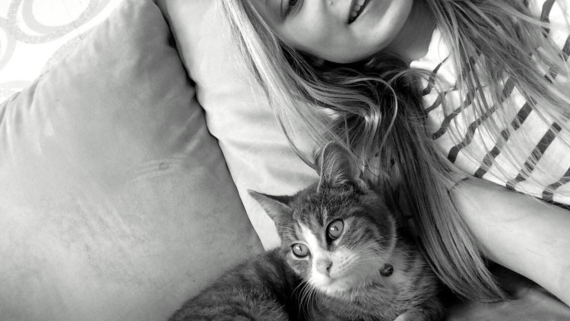 Blanding af racer Prins billede 26