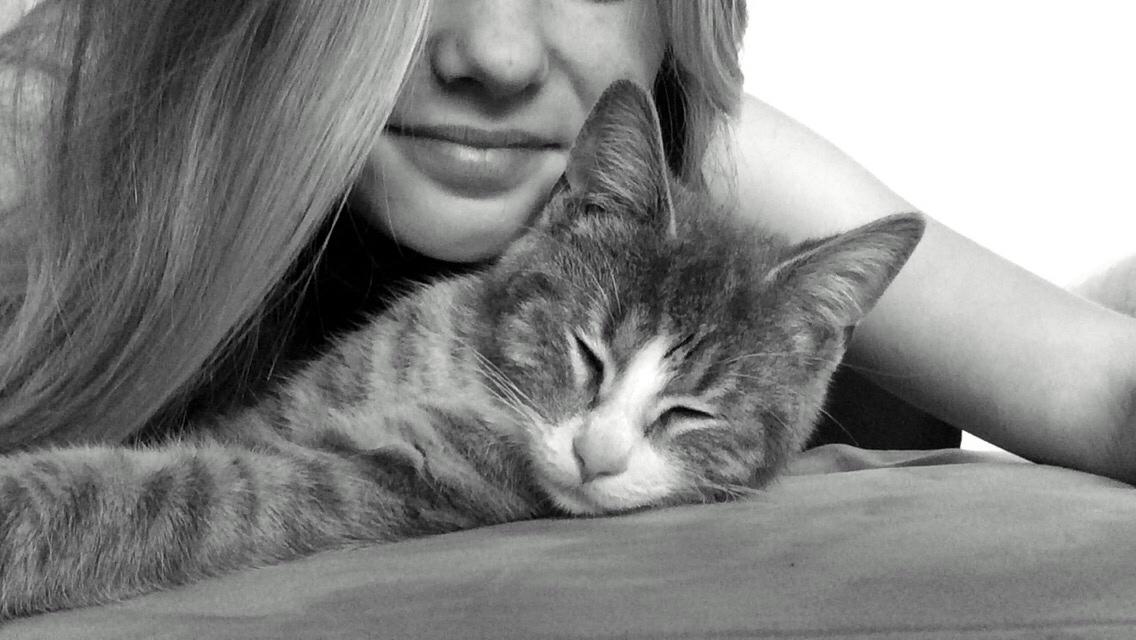 Blanding af racer Prins billede 28