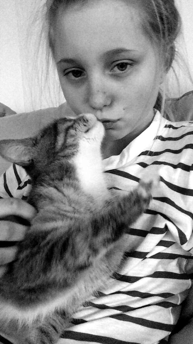 Blanding af racer Prins billede 27