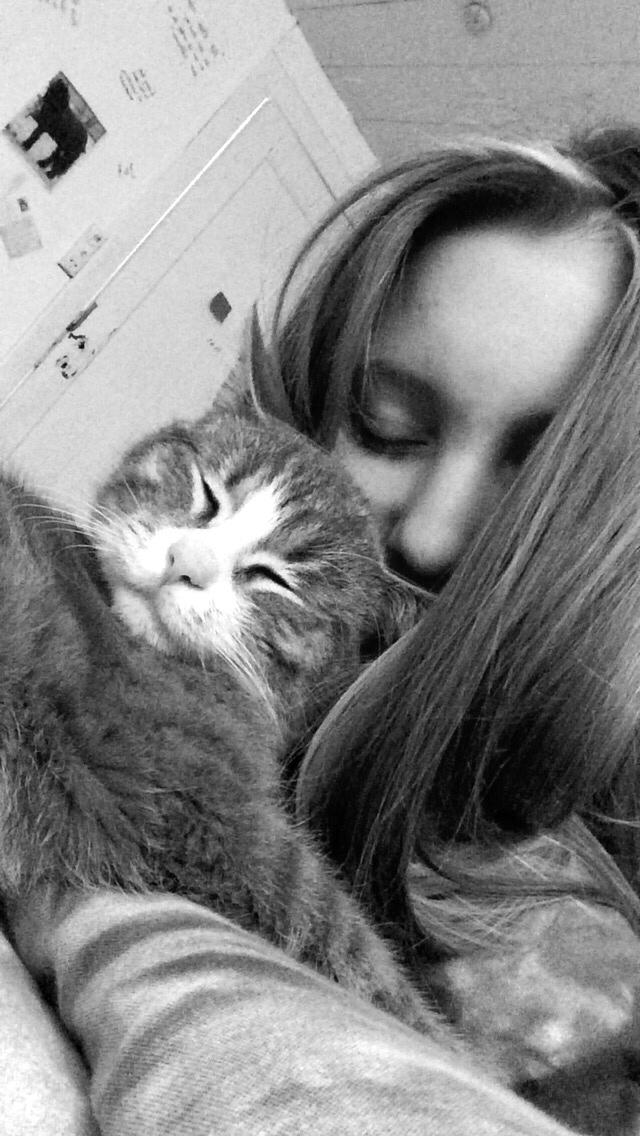 Blanding af racer Prins billede 29