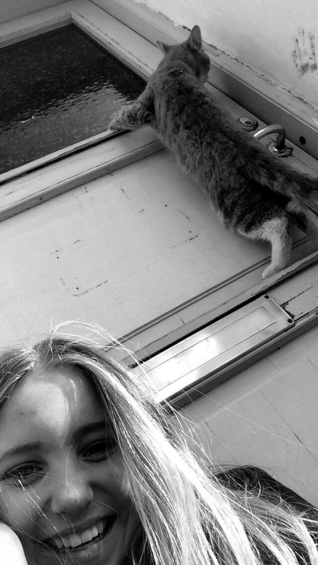 Blanding af racer Prins billede 30