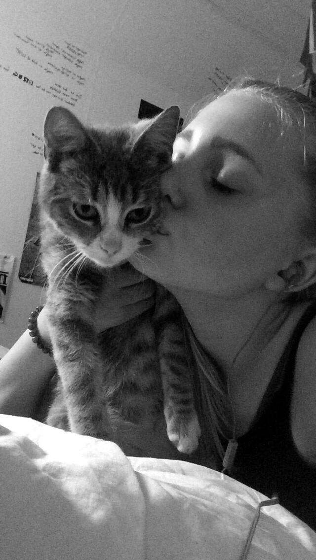 Blanding af racer Prins billede 32