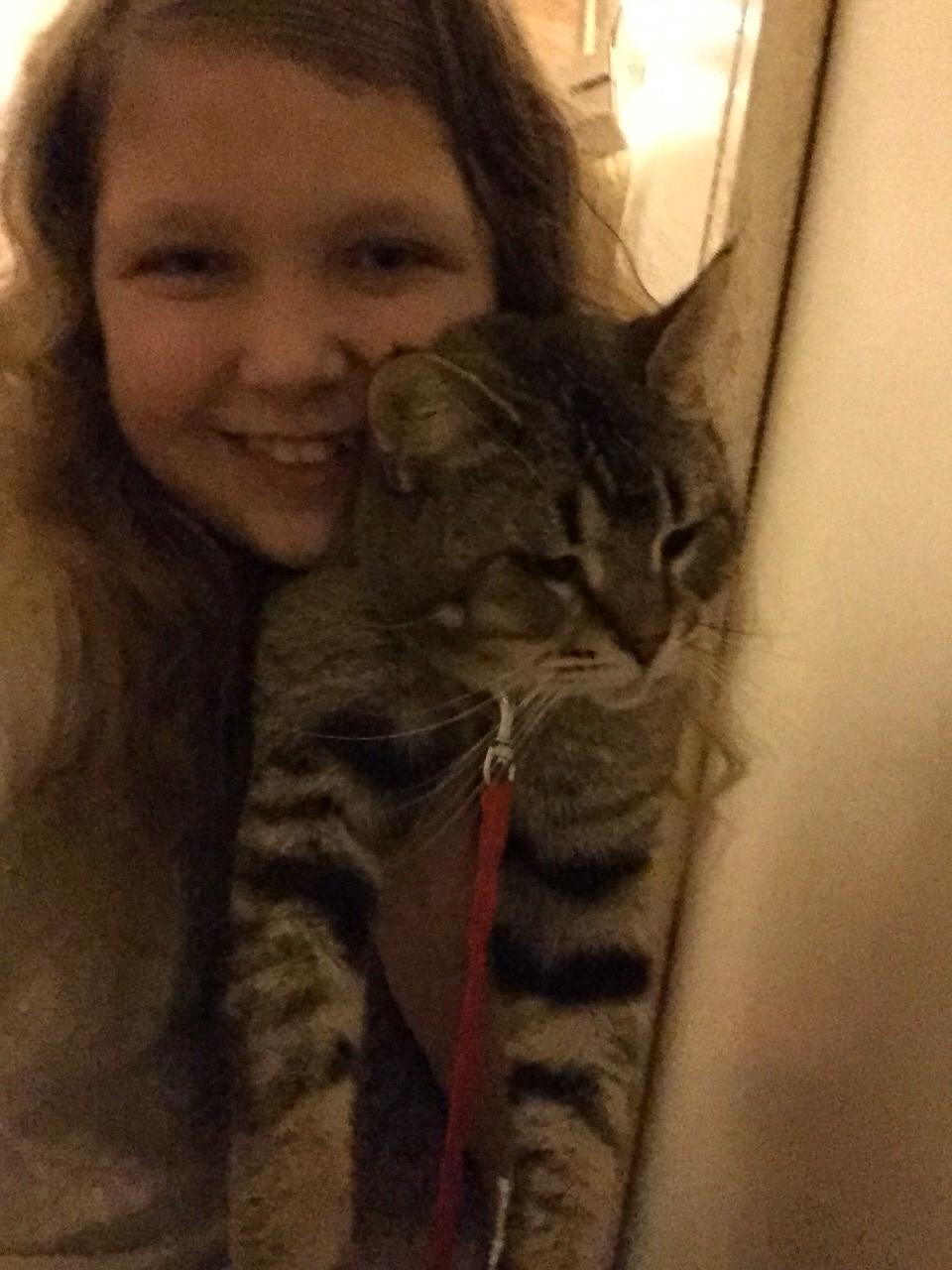 Huskat Alien billede 18