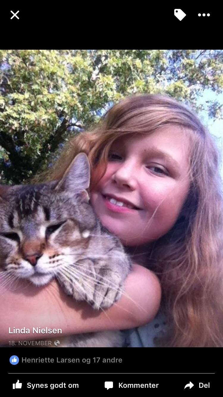 Huskat Alien billede 20