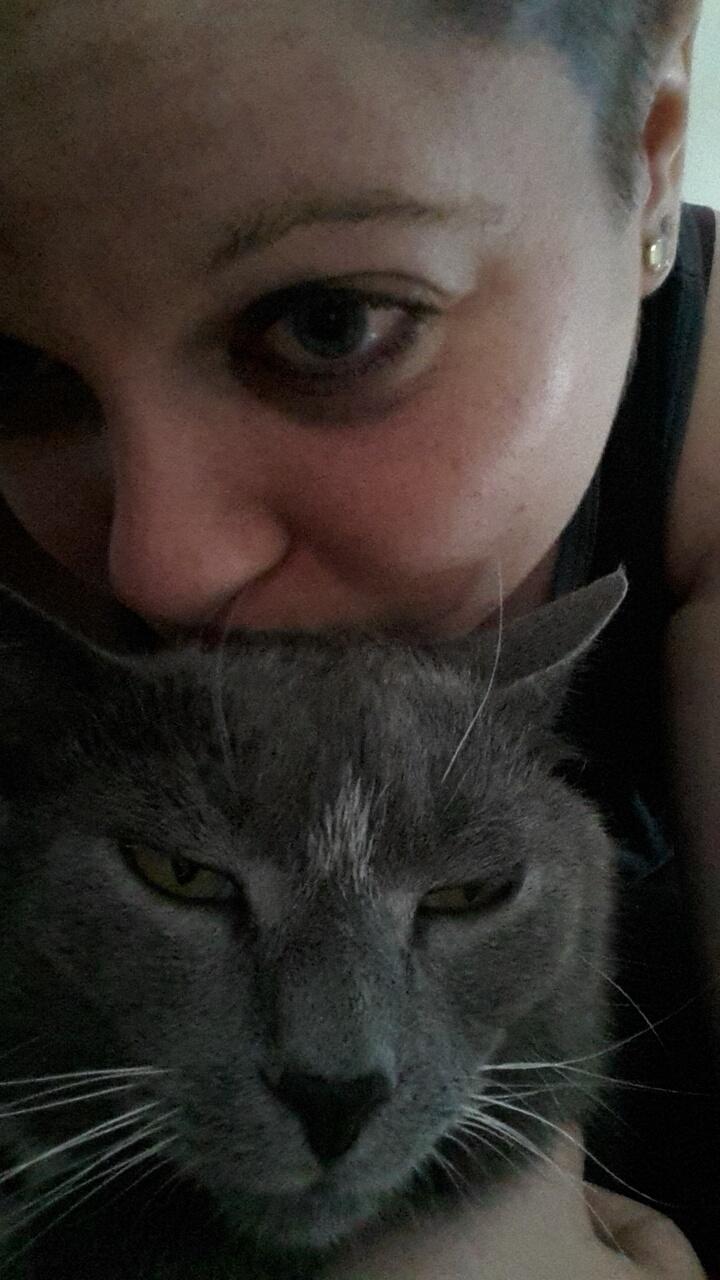 Huskat Amadeus (Deusen) billede 13