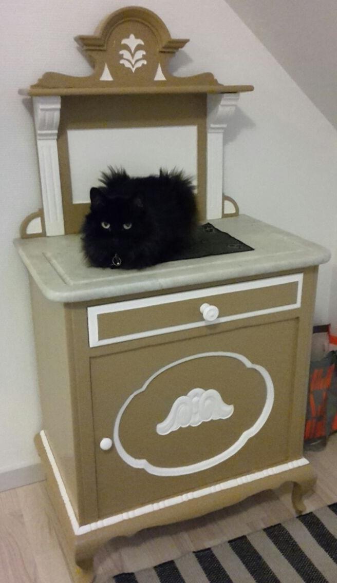 Kurilean Bobtail Beretta iz Dikogo Plemeni [Himmelkat] billede 5