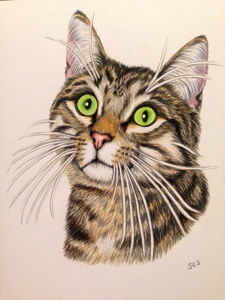 Huskat Ludvig the bulldog billede 32