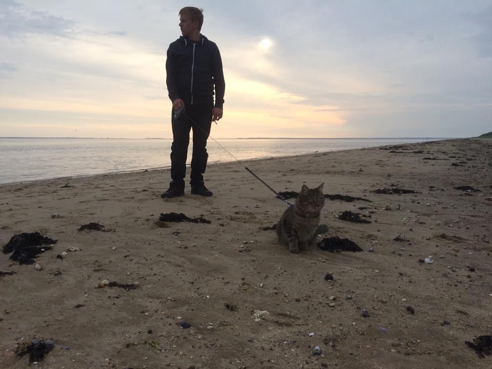 Huskat Ludvig the bulldog billede 25