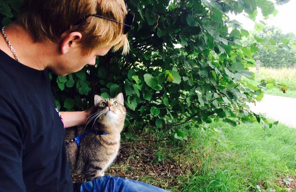 Huskat Ludvig the bulldog billede 37