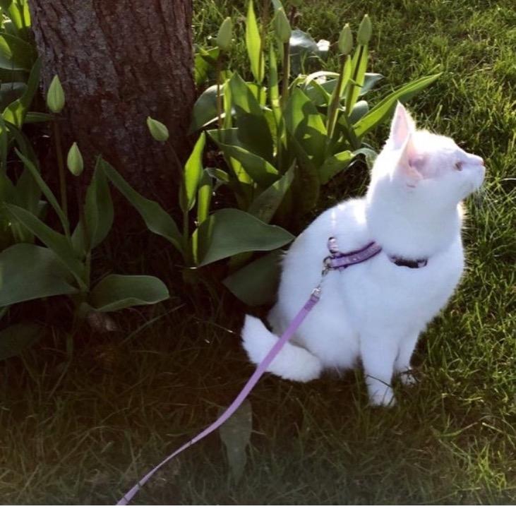 Huskat Zaharah - Mor du skal lige blive stående lidt, jeg skal lige sidde lidt her i nydningen ❤️ billede 14