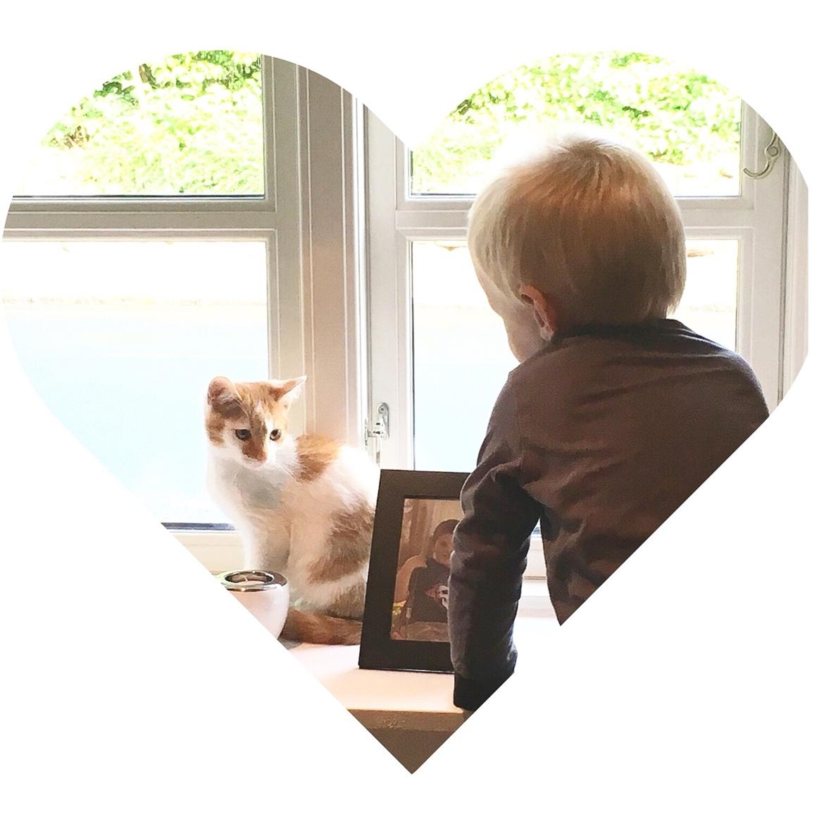 Huskat Max billede 8