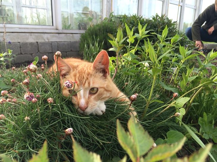 {{currentPhoto.altText}} billede {{currentPhoto.number}}